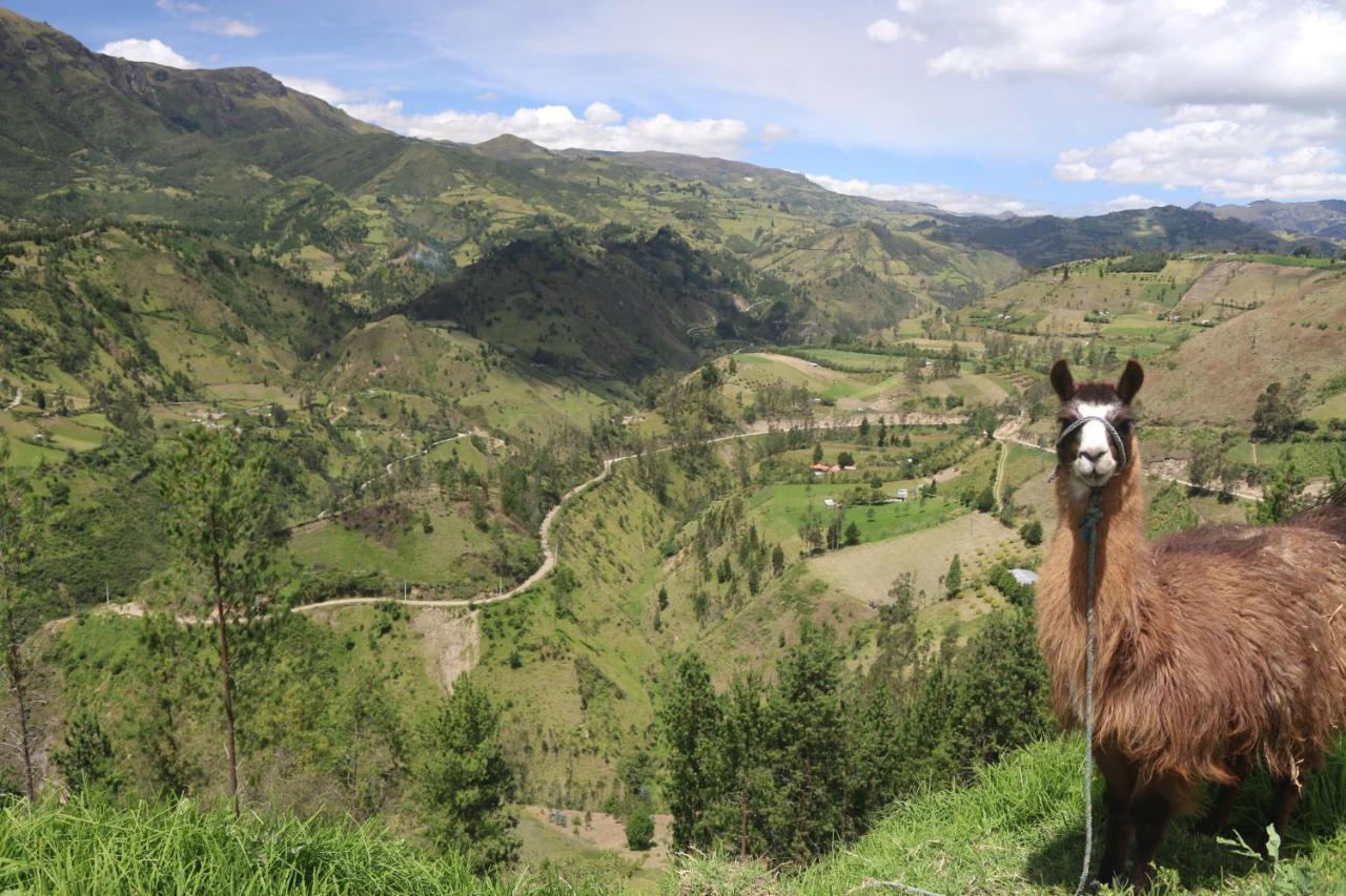 Starlight Mountain Lodge Sigchos Luaran gambar