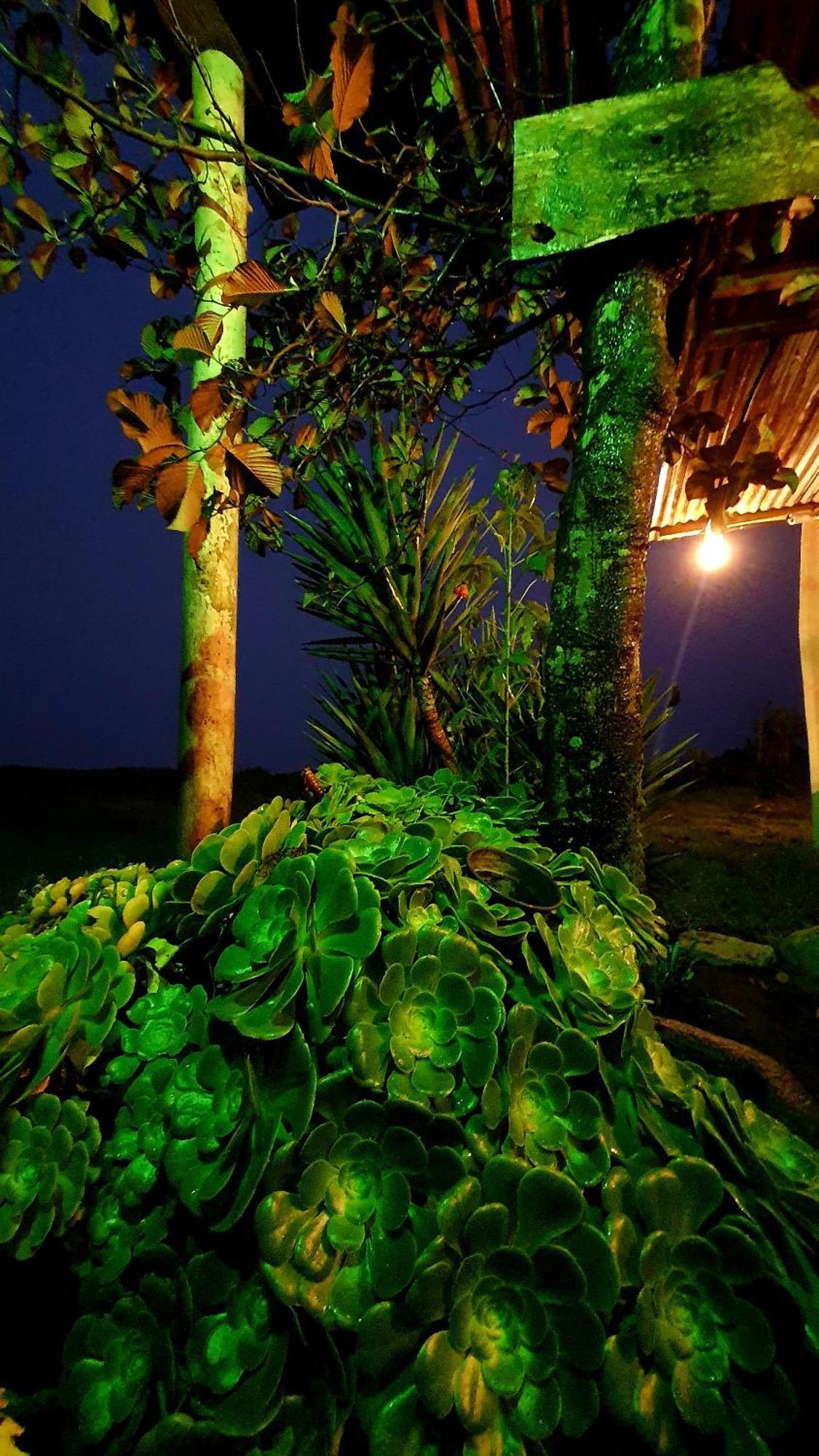 Starlight Mountain Lodge Sigchos Luaran gambar